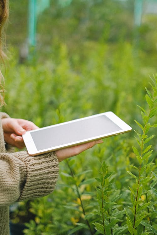 Cidade sustentável com prédios verdes, energia solar e turbinas eólicas, simbolizando a contribuição da tecnologia para um futuro ambientalmente responsável.